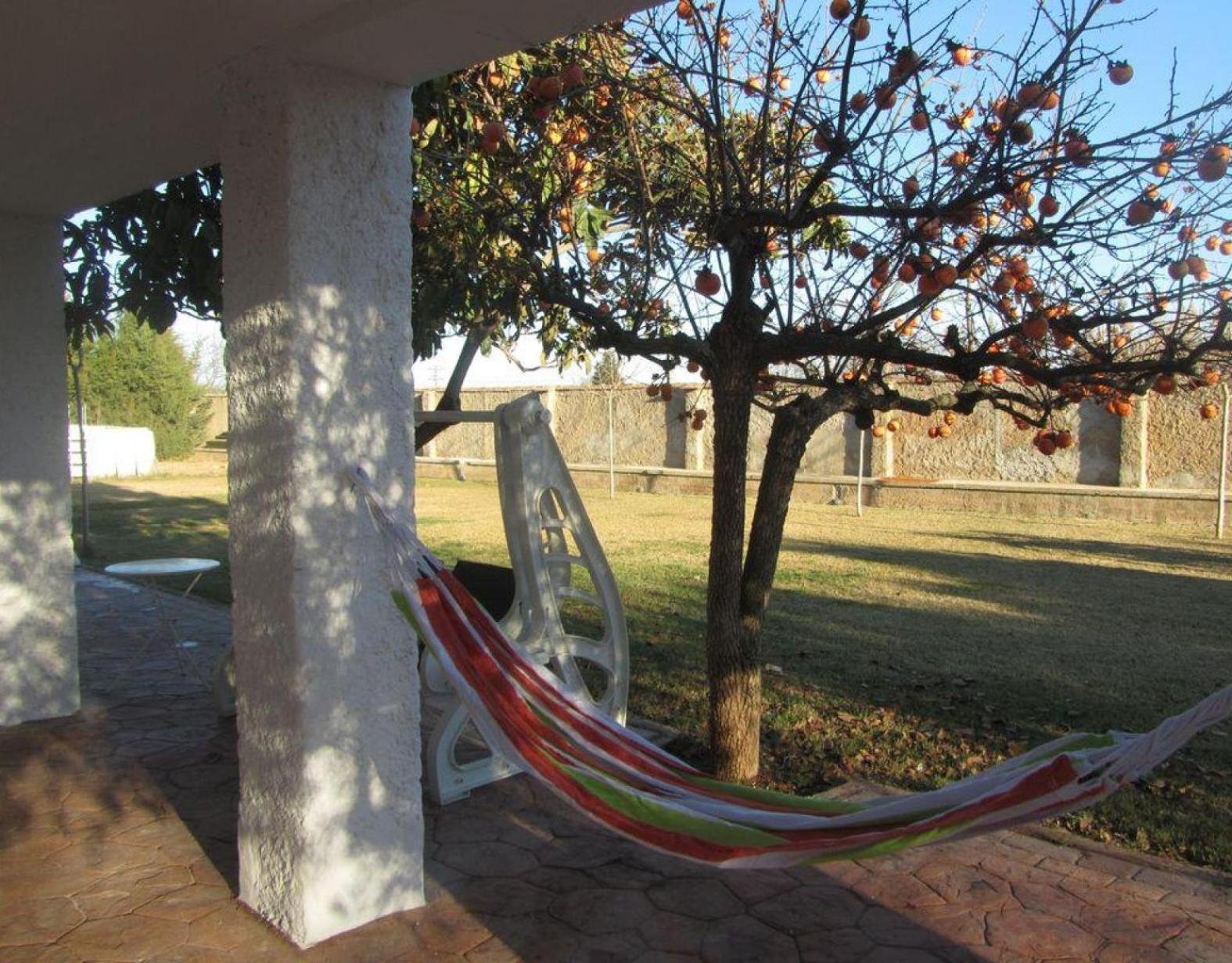 Santa Ana Villa Pedrola Exterior photo